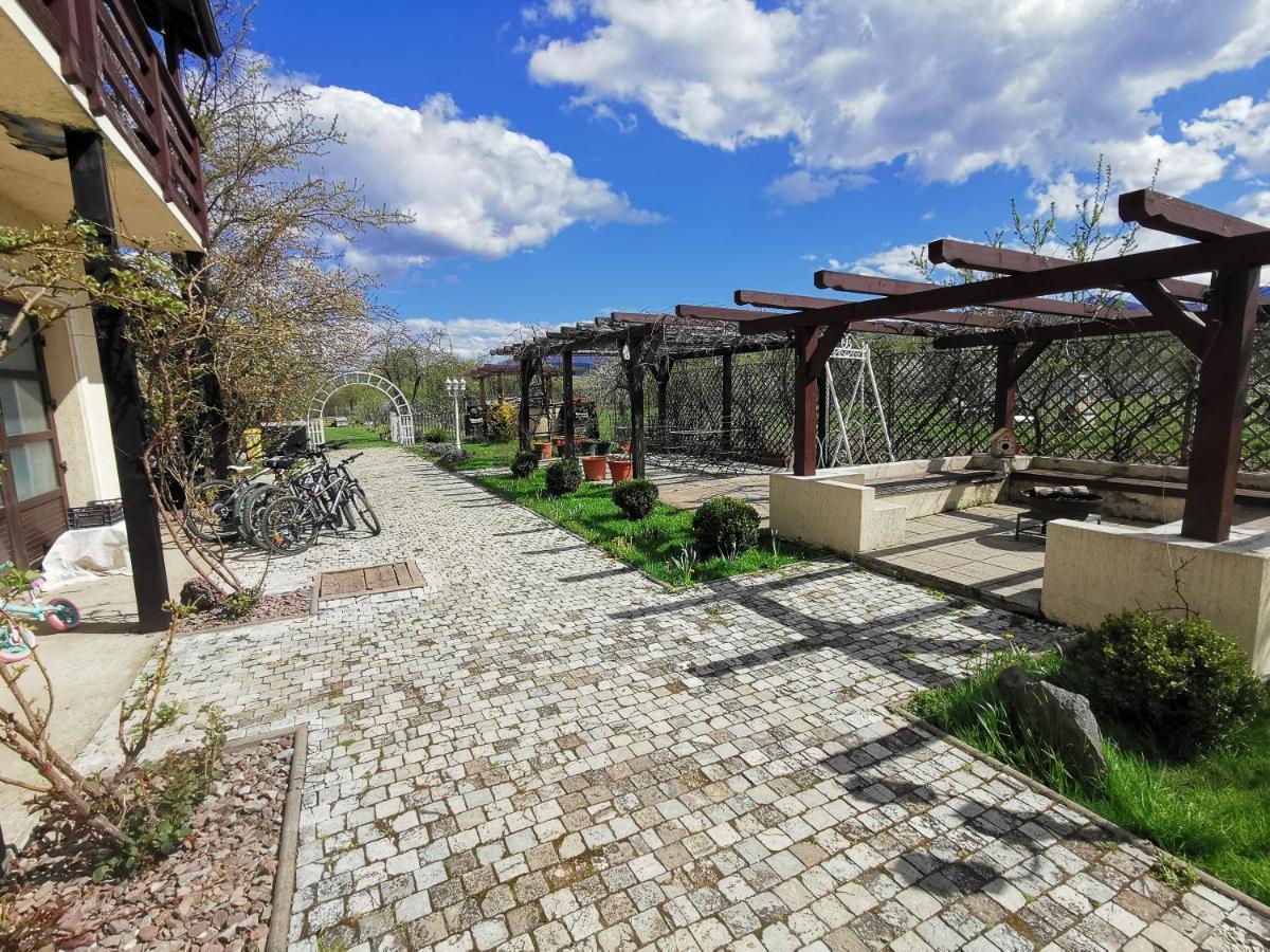 Pensiunea Casa Moga Bucium  Dış mekan fotoğraf